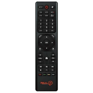 real-hybrid-remote