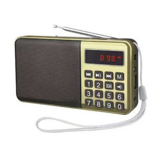 Portable Digital FM Radio