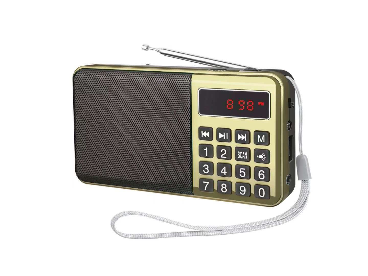 Portable Digital FM Radio