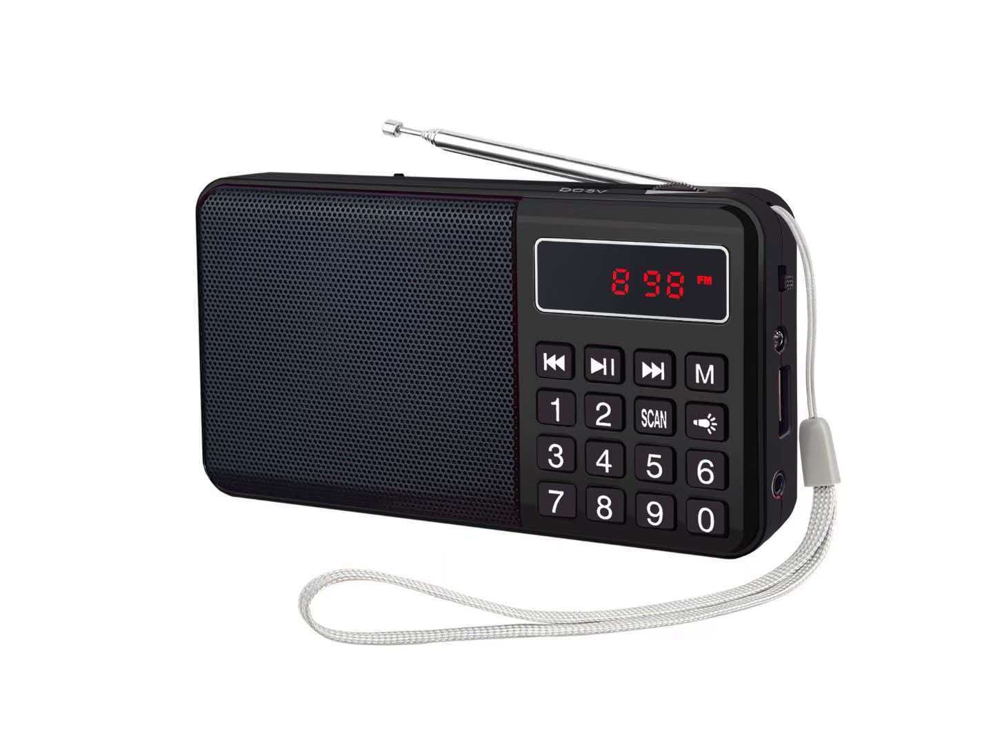Portable Digital FM Radio