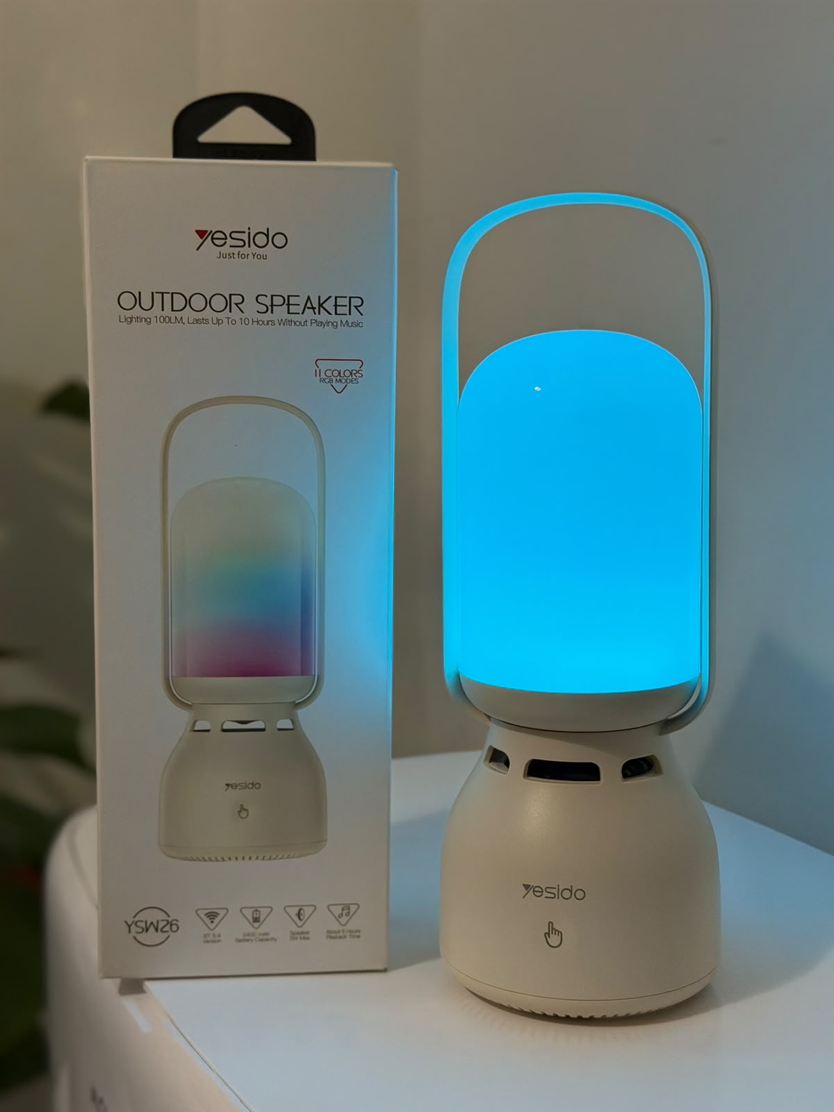 Outdoor speaker